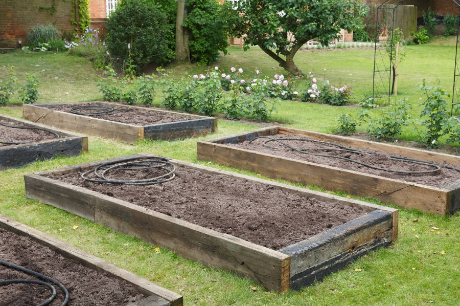 raised garden beds 2